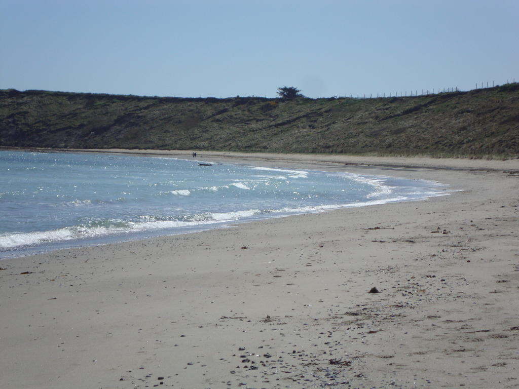 Clifford House B & B Rosslare Harbour Bagian luar foto