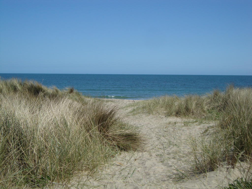 Clifford House B & B Rosslare Harbour Bagian luar foto