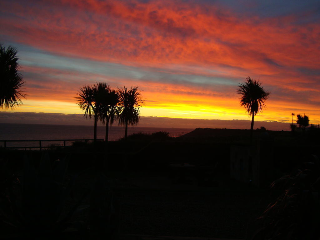 Clifford House B & B Rosslare Harbour Bagian luar foto